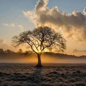 Meet your Posher, Adeline